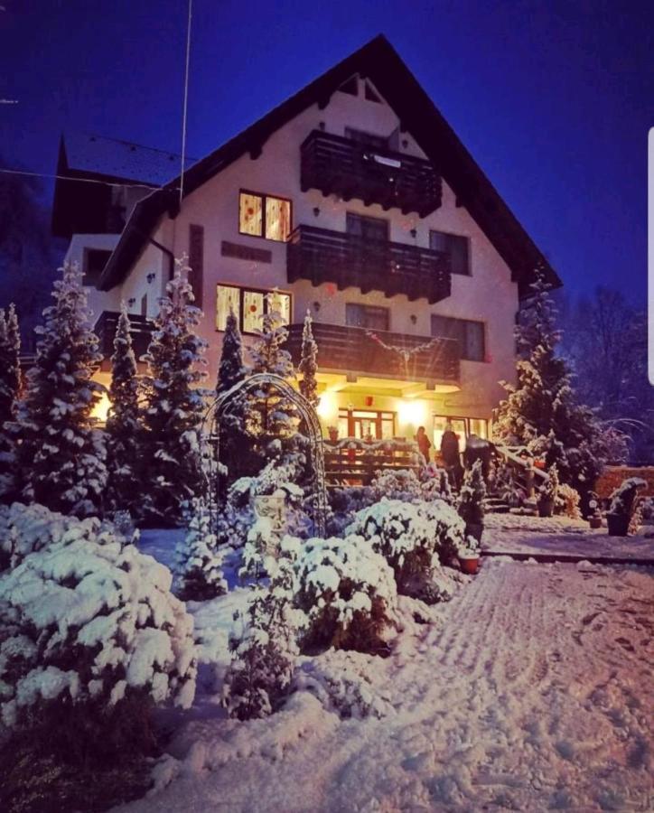 Hotel Casa Daniel à Bran  Extérieur photo