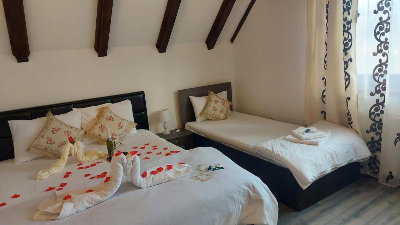 Hotel Casa Daniel à Bran  Extérieur photo