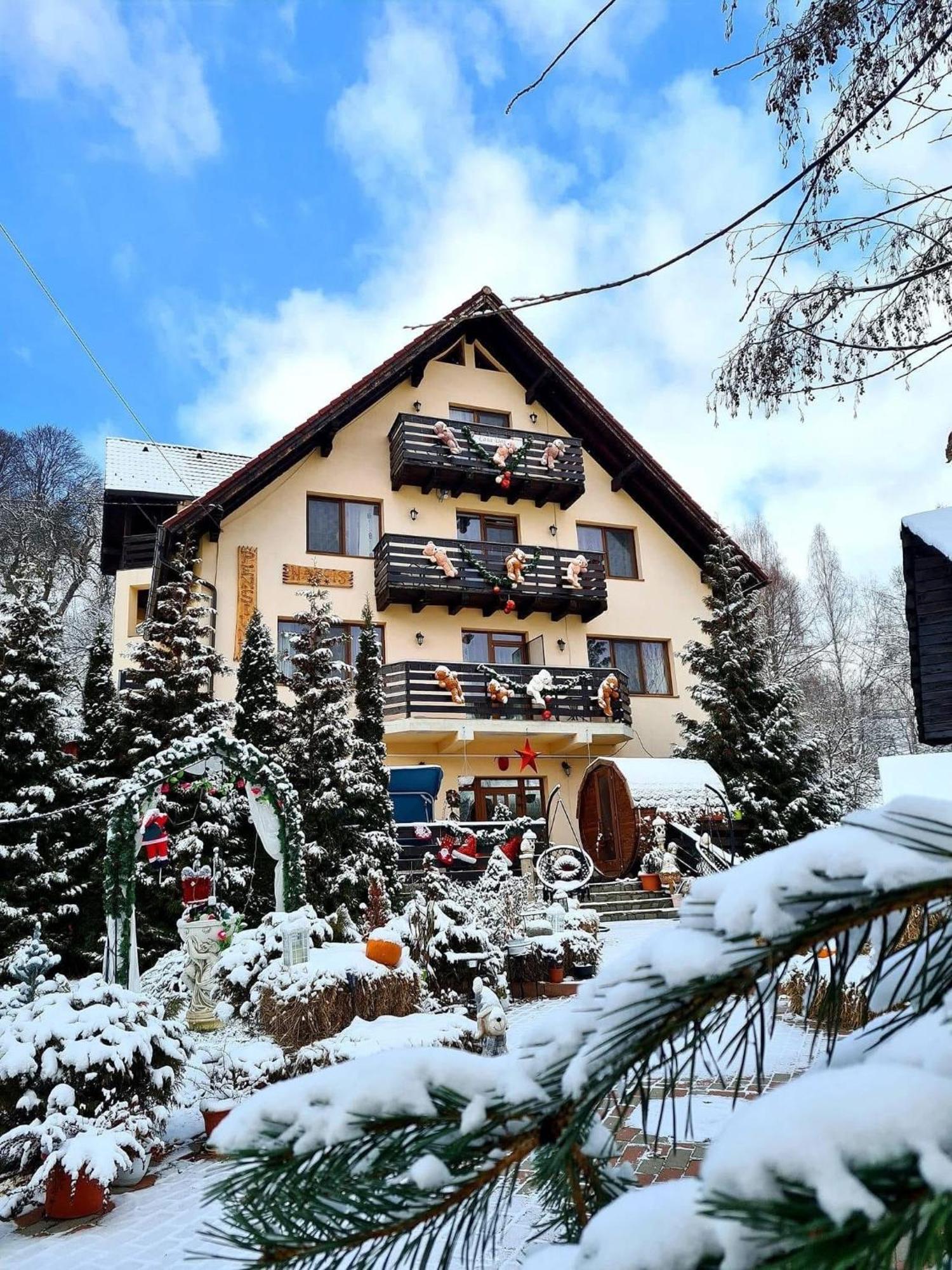 Hotel Casa Daniel à Bran  Extérieur photo